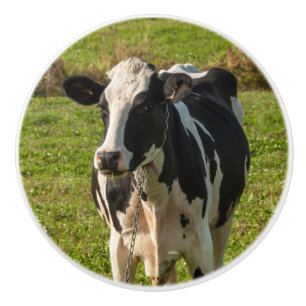 Deurkruk, foto van koe keramische knop