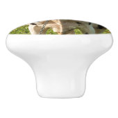 Deurkruk, foto van koe keramische knop (Zijkant)