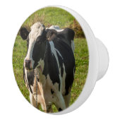 Deurkruk, foto van koe keramische knop (Rechts)