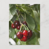 Deurlanden Briefkaart (Voorkant)