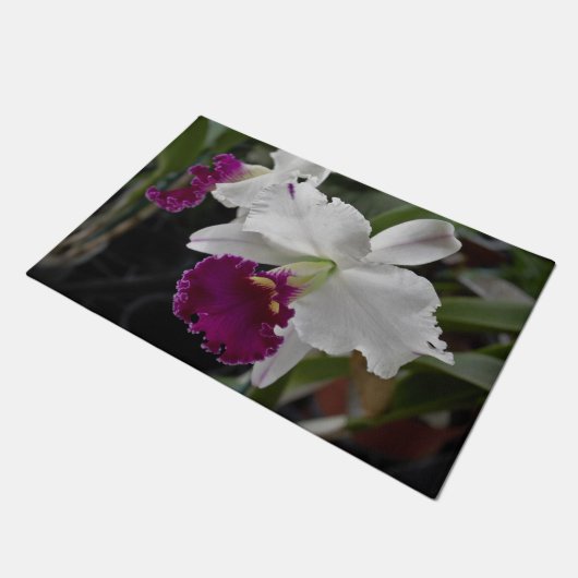 Deurmat Orchidee Wit Paars (Schuin)