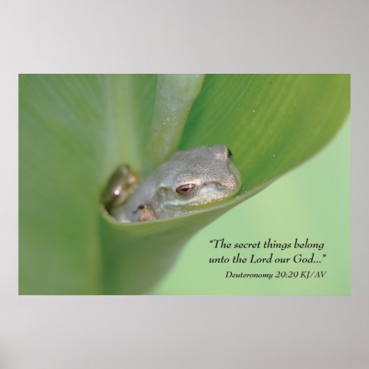 Deuteronomie 29:29 Manuscriptdruk Poster (Voorkant)