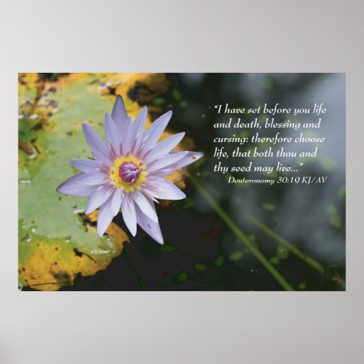 Deuteronomie 30:19 Manuscriptdruk Poster (Voorkant)