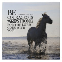 Deuteronomie 31:6 Wees moedig en sterk paard