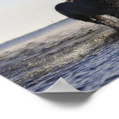 Deuteronomie 31:6 Wees sterk en moedig, paard Poster (Hoek)