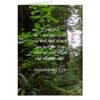 Deuteronomie 4:29 ~ Zoek de Heer