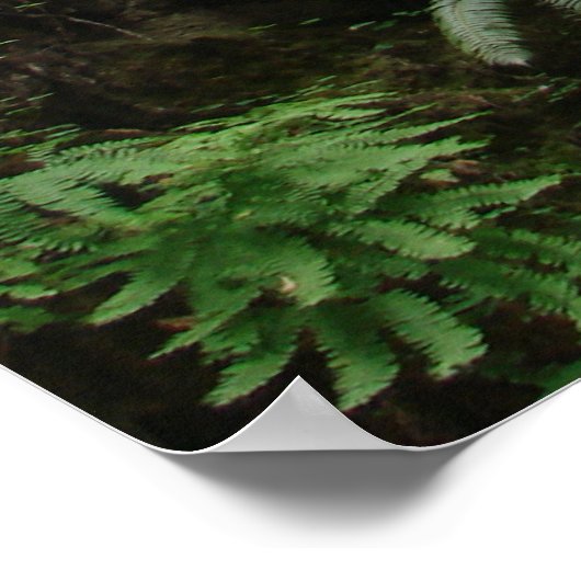 Deuteronomie 4:29 ~ Zoek de Heer Poster (Hoek)