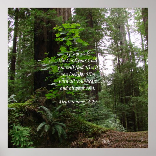 Deuteronomie 4:29 ~ Zoek de Heer Poster (Voorkant)