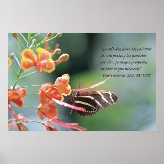 Deuteronomio 29:9-kartel poster (Voorkant)