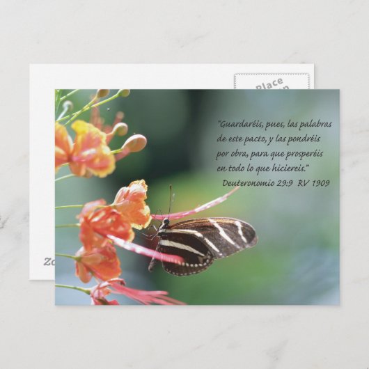 Deuteronomio 29:9 Tarjeta Postal Briefkaart (Voorkant / Achterkant)