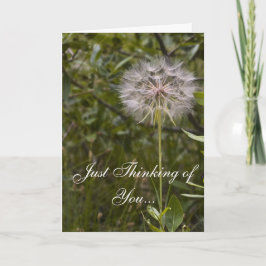 Deuteronomium 31:6 Aanmoediging Kaart