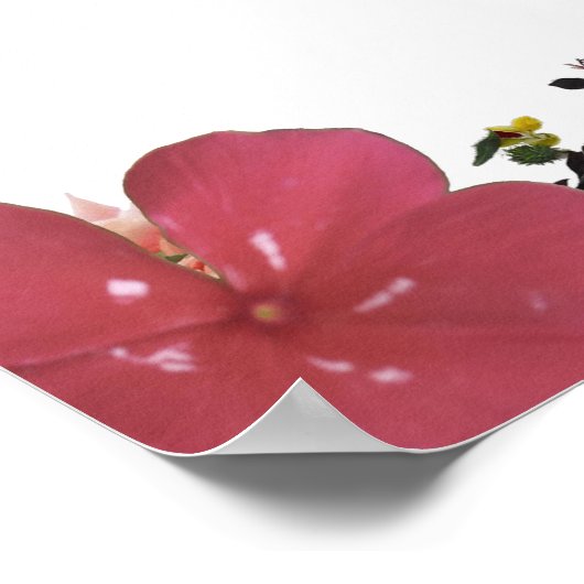 Deuteronomy 31, Do not be afraid, Red Floral Poster (Hoek)