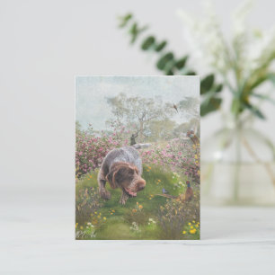 Deutsch Drahthaar Briefkaart