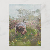 Deutsch Drahthaar Briefkaart (Voorkant)