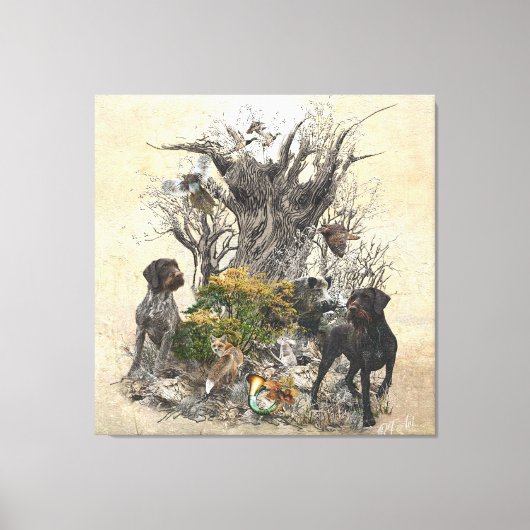 Deutsch Drahthaar Canvas Afdruk (Voorkant)