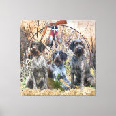 Deutsch Drahthaar Canvas Afdruk (Voorkant)