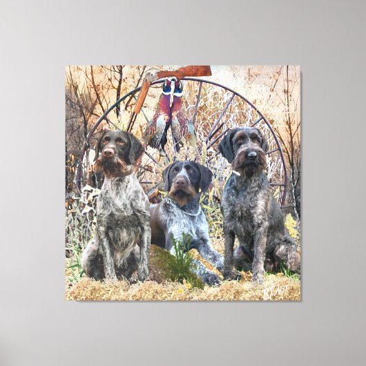 Deutsch Drahthaar Canvas Afdruk (Voorkant)