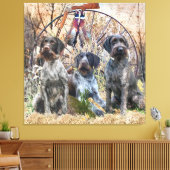 Deutsch Drahthaar Canvas Afdruk (Insitu (Woonkamer))