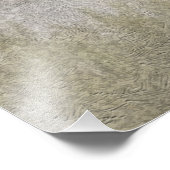 Deutsch Drahthaar Foto afdruk (Hoek)