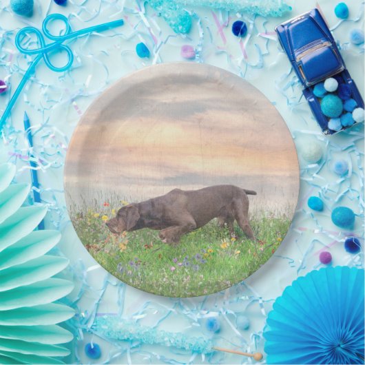 Deutsch Drahthaar Papieren Bordje (Feest)