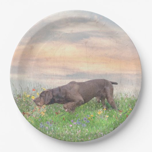 Deutsch Drahthaar Papieren Bordje (Voorkant)