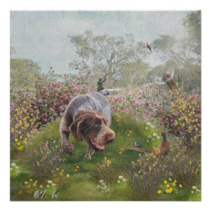 Deutsch Drahthaar Perfect Poster