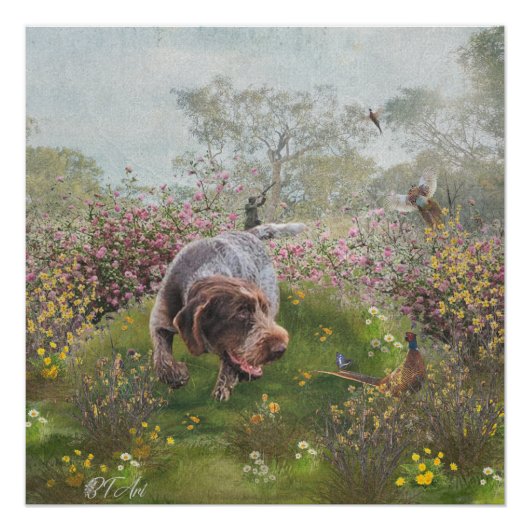 Deutsch Drahthaar Perfect Poster (Voorkant)