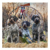 Deutsch Drahthaar Poster (Voorkant)