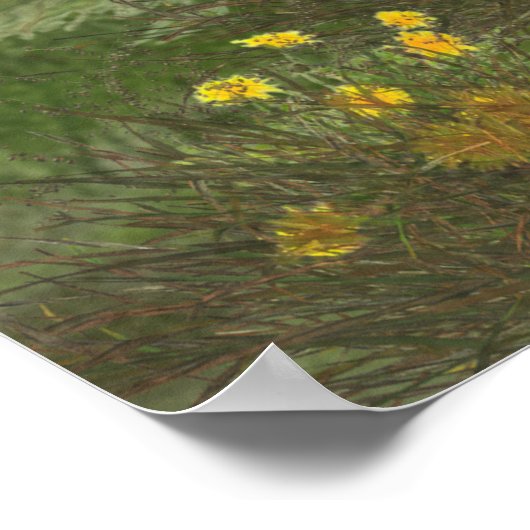 Deutsch Drahthaar Poster (Hoek)