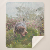 Deutsch Drahthaar Sherpa Deken (Voorkant)