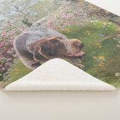 Deutsch Drahthaar Sherpa Deken (3/4)