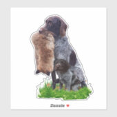 Deutsch Drahthaar Sticker (Vel)