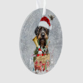 Deutsch Drahthaar, vrolijk kerstfeest! Ornament (voorkant)