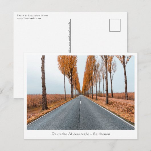 Deutsche Alleenstraße Briefkaart (Voorkant / Achterkant)