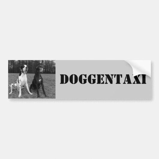 Deutsche Dogge, Great Dane,Harlekin,Taxi,Aufkleber Bumpersticker (Voorkant)