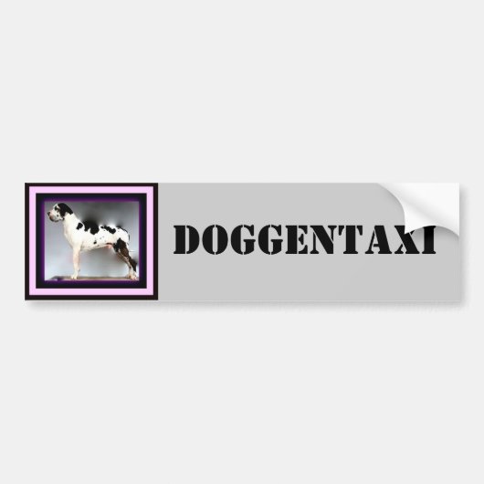 Deutsche Dogge, Great Dane,Harlekin,Taxi,Aufkleber Bumpersticker (Voorkant)