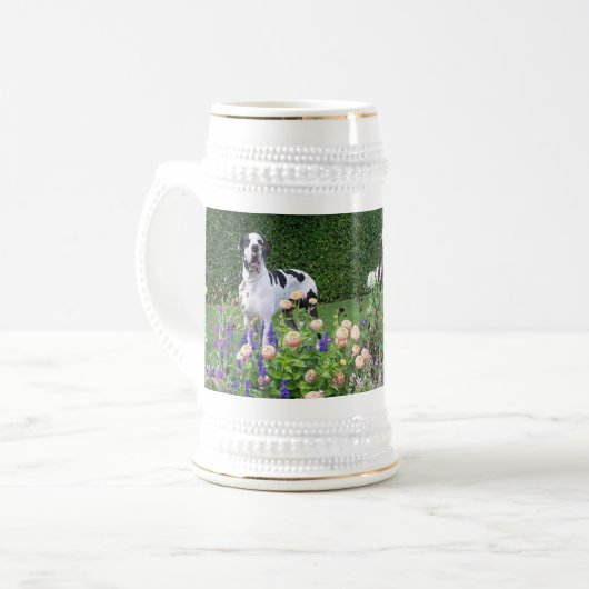 Deutsche Dogge, Great Dane,Hunde,Dogue Allemand Bierpul (Voorkant links)