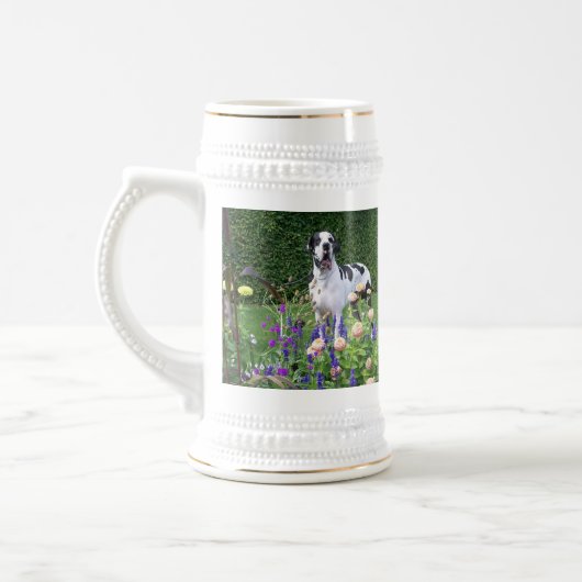 Deutsche Dogge, Great Dane,Hunde,Dogue Allemand Bierpul (Links)