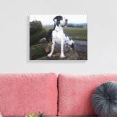 Deutsche Dogge, Great Dane,Hunde,Dogue Allemand Canvas Afdruk (Insitu (Woonkamer))