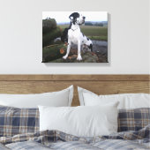 Deutsche Dogge, Great Dane,Hunde,Dogue Allemand Canvas Afdruk (Insitu (Slaapkamer))