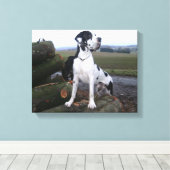 Deutsche Dogge, Great Dane,Hunde,Dogue Allemand Canvas Afdruk (Insitu (Houten vloer))