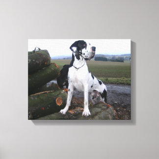 Deutsche Dogge, Great Dane,Hunde,Dogue Allemand Canvas Afdruk