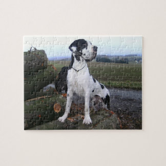 Deutsche Dogge, Great Dane,Hunde,Dogue Allemand Legpuzzel
