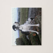 Deutsche Dogge, Great Dane,Hunde,Dogue Allemand Legpuzzel (Verticaal)