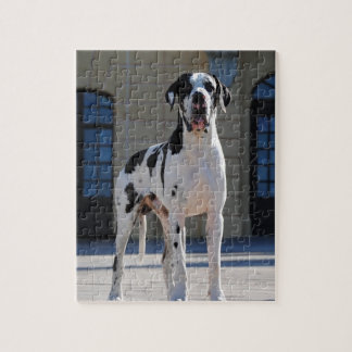 Deutsche Dogge, Great Dane,Hunde,Dogue Allemand Legpuzzel