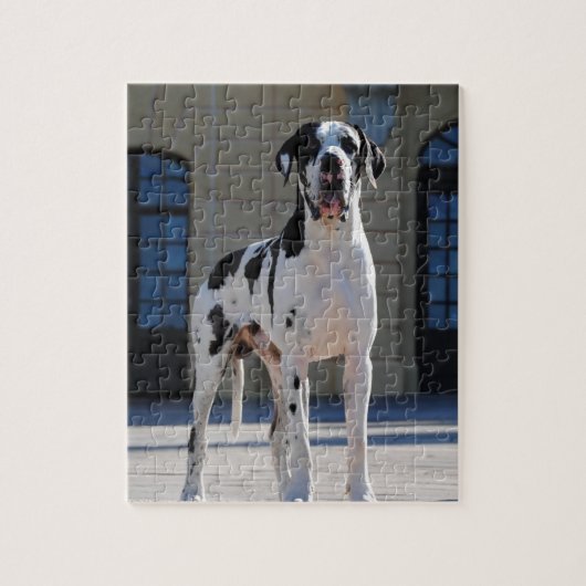 Deutsche Dogge, Great Dane,Hunde,Dogue Allemand Legpuzzel (Verticaal)