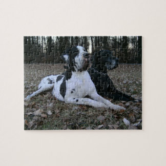 Deutsche Dogge, Great Dane,Hunde,Dogue Allemand Legpuzzel