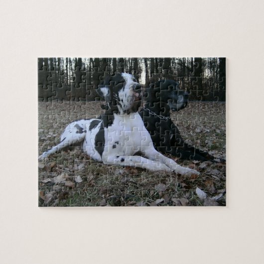 Deutsche Dogge, Great Dane,Hunde,Dogue Allemand Legpuzzel (Horizontaal)