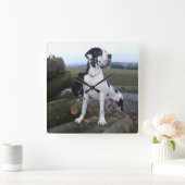 Deutsche Dogge, Great Dane,Hunde,Dogue Allemand Vierkante Klok (Huis)