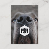 Deutsche Doggen Visitenkarten Visitekaartje (Achterkant)